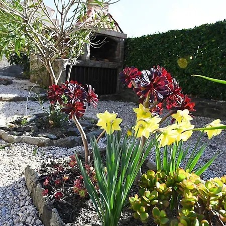 D'une A A 300 M De La Plage Avec Jardin Clos Et Wifi